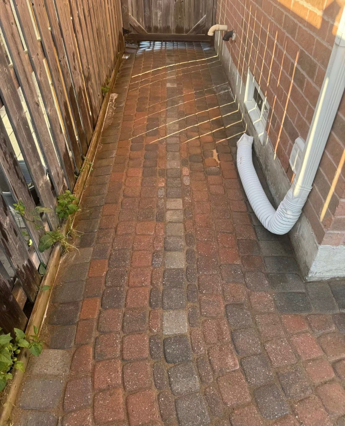 Cleaned brick paver walkway